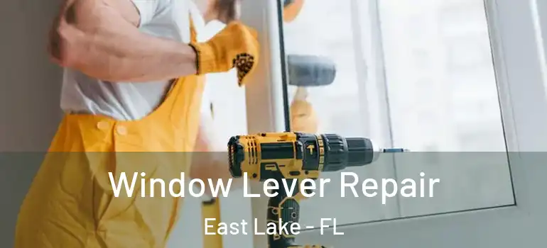 Window Lever Repair East Lake - FL