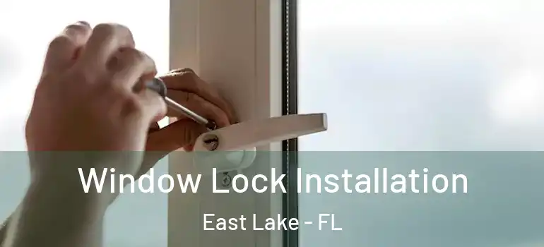 Window Lock Installation East Lake - FL