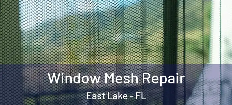 Window Mesh Repair East Lake - FL
