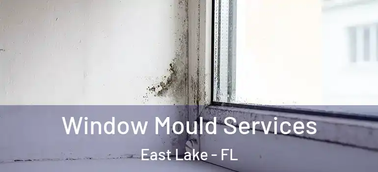 Window Mould Services East Lake - FL