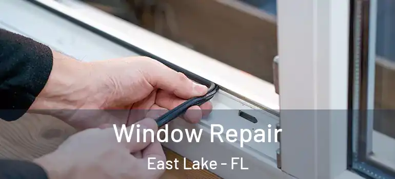Window Repair East Lake - FL