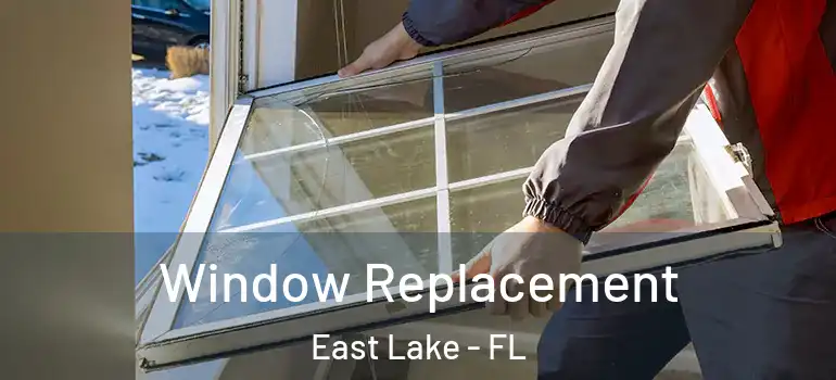 Window Replacement East Lake - FL