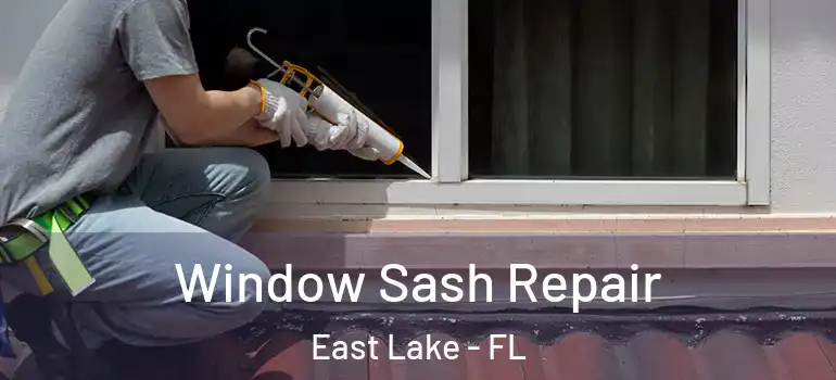 Window Sash Repair East Lake - FL