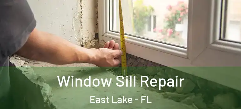 Window Sill Repair East Lake - FL