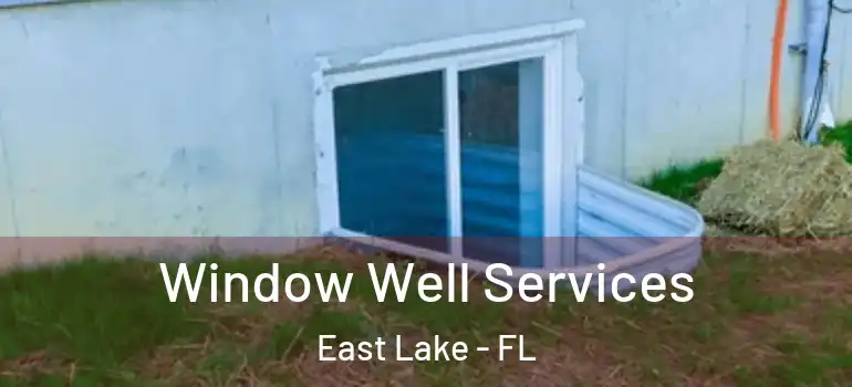 Window Well Services East Lake - FL