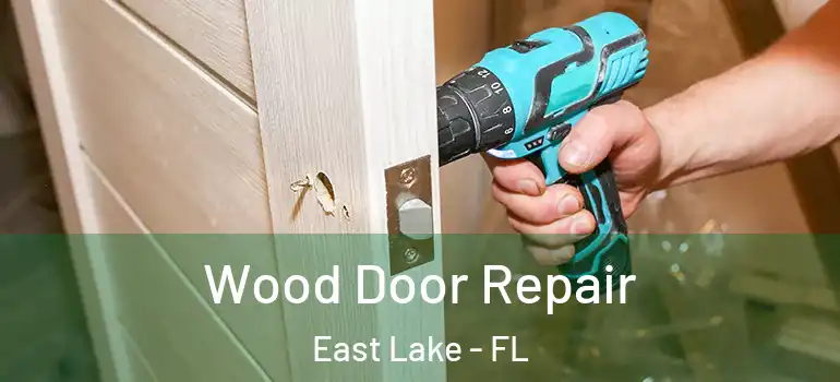 Wood Door Repair East Lake - FL